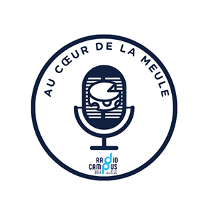 Couverture podcast : Au coeur de la meule
